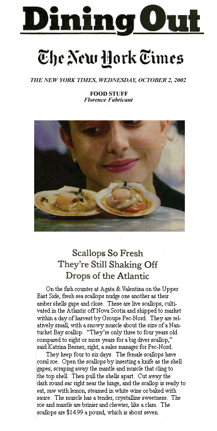 Upper East Site Promo pg12