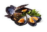 Shellfish, Clams, Mussels