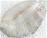 Turbot  Fillet