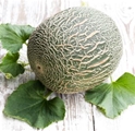 Organic Honeydew Melon