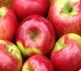 Organic Macintosh Apples