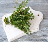 Wild Harvest Organic Thyme