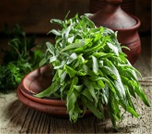 Tarragon Fresh Organic