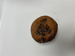 Chocolate Chip Muffin Lg