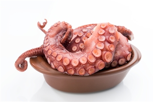 Octopus Spanish Cut