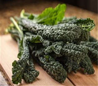 Organic Lacinato Kale