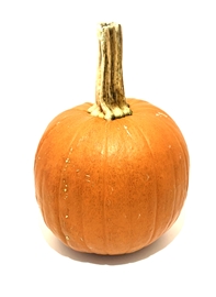 Pumpkin (Medium)