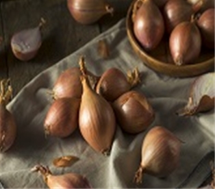 Shallots