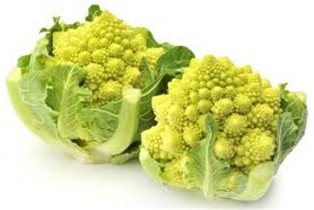 Romanesco Broccoli