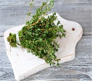 Wild Harvest Organic Thyme