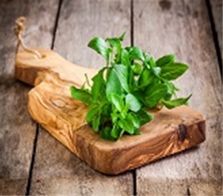 Organic Basil