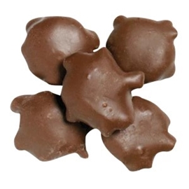 Pecan Turtle Milk Chocolate (8Oz)