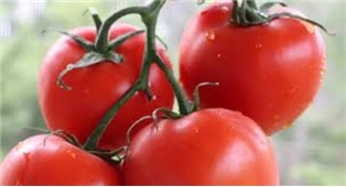 Grape Tomatoes (On The Vine)