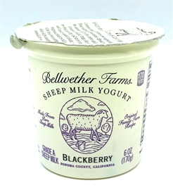 Bellwether Farms Sheep Milk Yogurt Blackberry 6oz