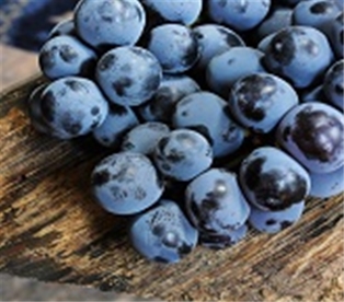 Concord Grapes