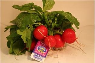 Radishes Organic