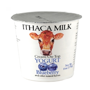 Ithaca Milk Blueberry Yogurt (6oz.)