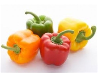 Peppers Rainbow