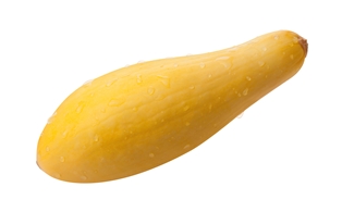 LOCAL Organic Yellow Squash