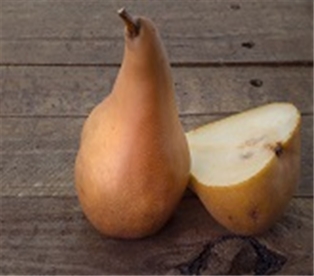 Organic Bosc Pears